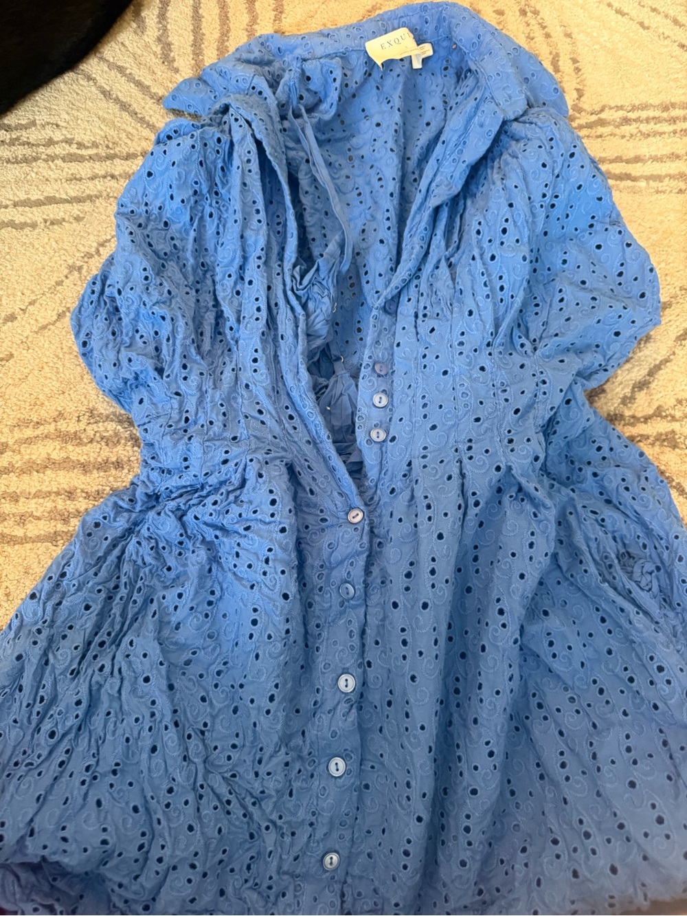 Exquise Anthropologie Blue Eyelet Button-Front Dress